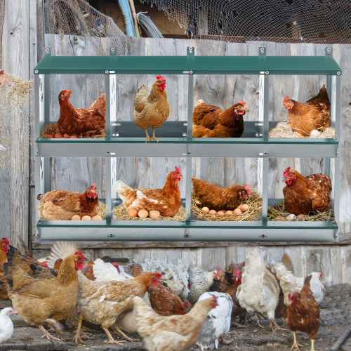 8 Cajas de Puesta para Pollos con 8 Compartimentos, para Depositar Huevos, Caja de Puesto Metálica para Pollos y Gallinas, Sujeta a Pared con Grandes Agujeros Ventilados — imagen 1