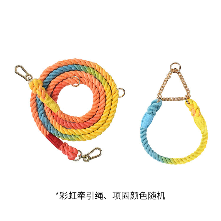 Braided Colorful Pet Dog Leash with P-Chain Collar for Medium and Large Dogs — image 8