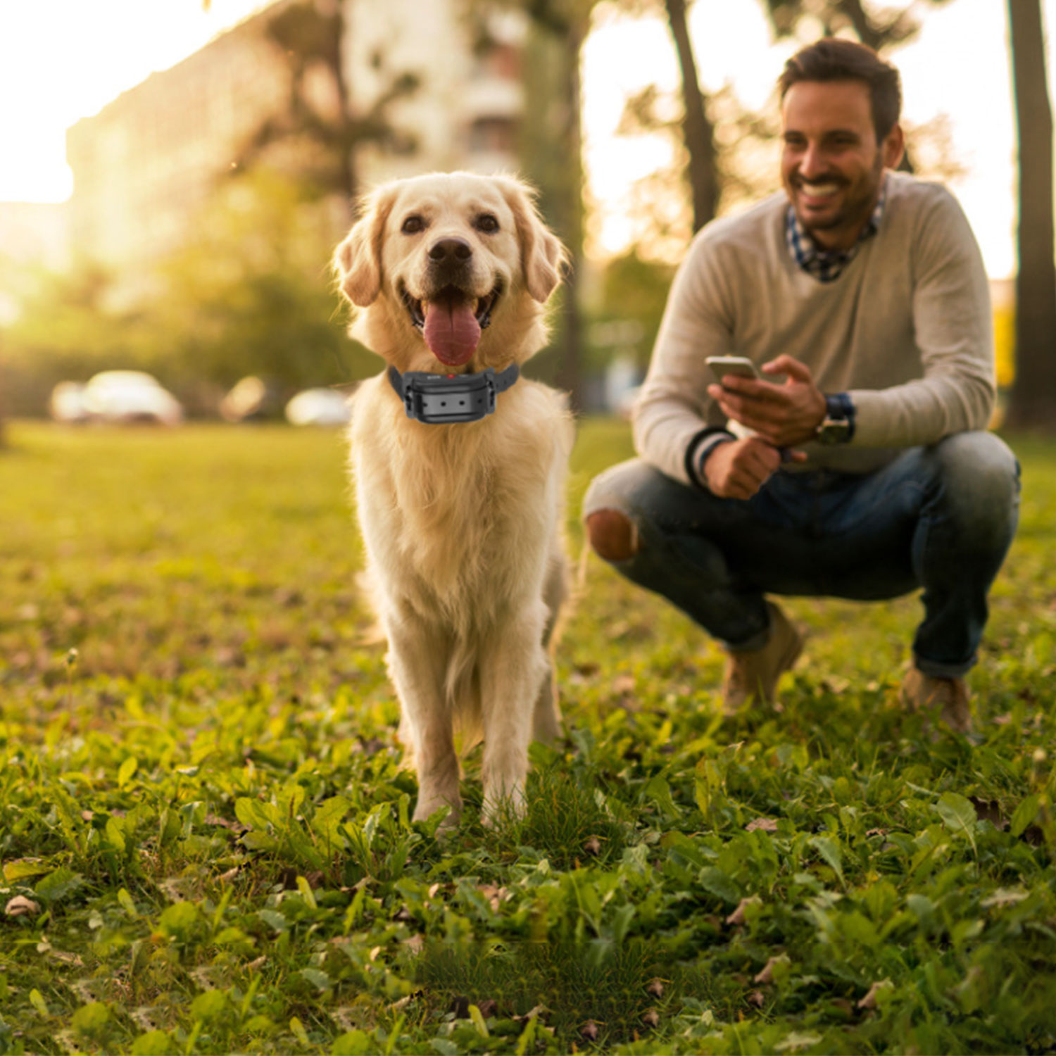 1 Juego de Cerca Eléctrica Inalámbrica para Perros de 328FT con Monitor de Ubicación GPS, Collar Receptor Recargable, Sistema de Cerca con Sonido y Vibración para Perros Pequeños, Medianos y Grandes — imagen 8