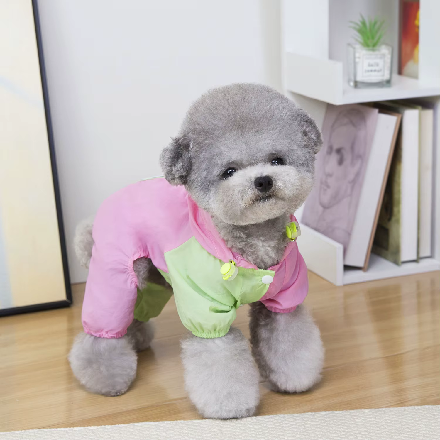 Pet dog clothes pet four-legged waterproof outdoor pet clothing autumn and winter three-color lightweight four-legged clothing — image 4