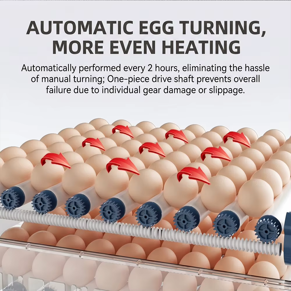 Incubadora Inteligente Totalmente Automática para 36/48 Huevos con Doble Fuente de Alimentación, Volteo Automático de Huevos, Control Preciso de Temperatura y Recarga Automática de Agua — imagen 3