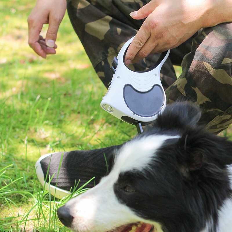 Small and medium-sized dog leash with light automatic telescopic walking rope and dog chain — image 8