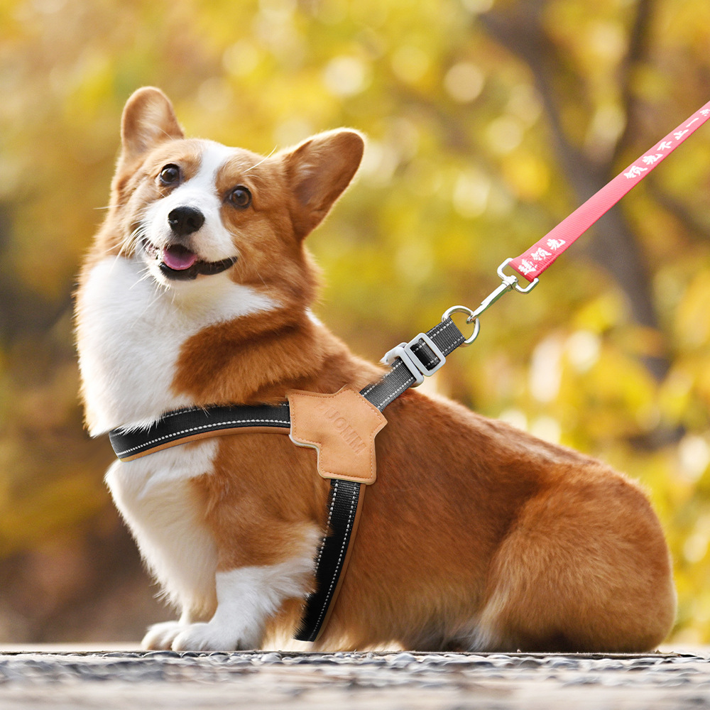 Dog Harness Chest Strap for Small and Medium Dogs, Reflective Leash for Outdoor Walking, Anti-Pull Design for Corgi, Bichon — image 4