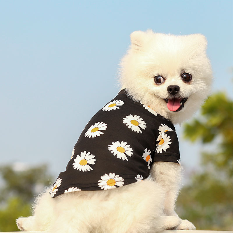 Ropa de Accesorio para Mascotas con Ducky Temática de Niños - Traje de Pájaro Amarillo para Perros y Gatos — imagen 5