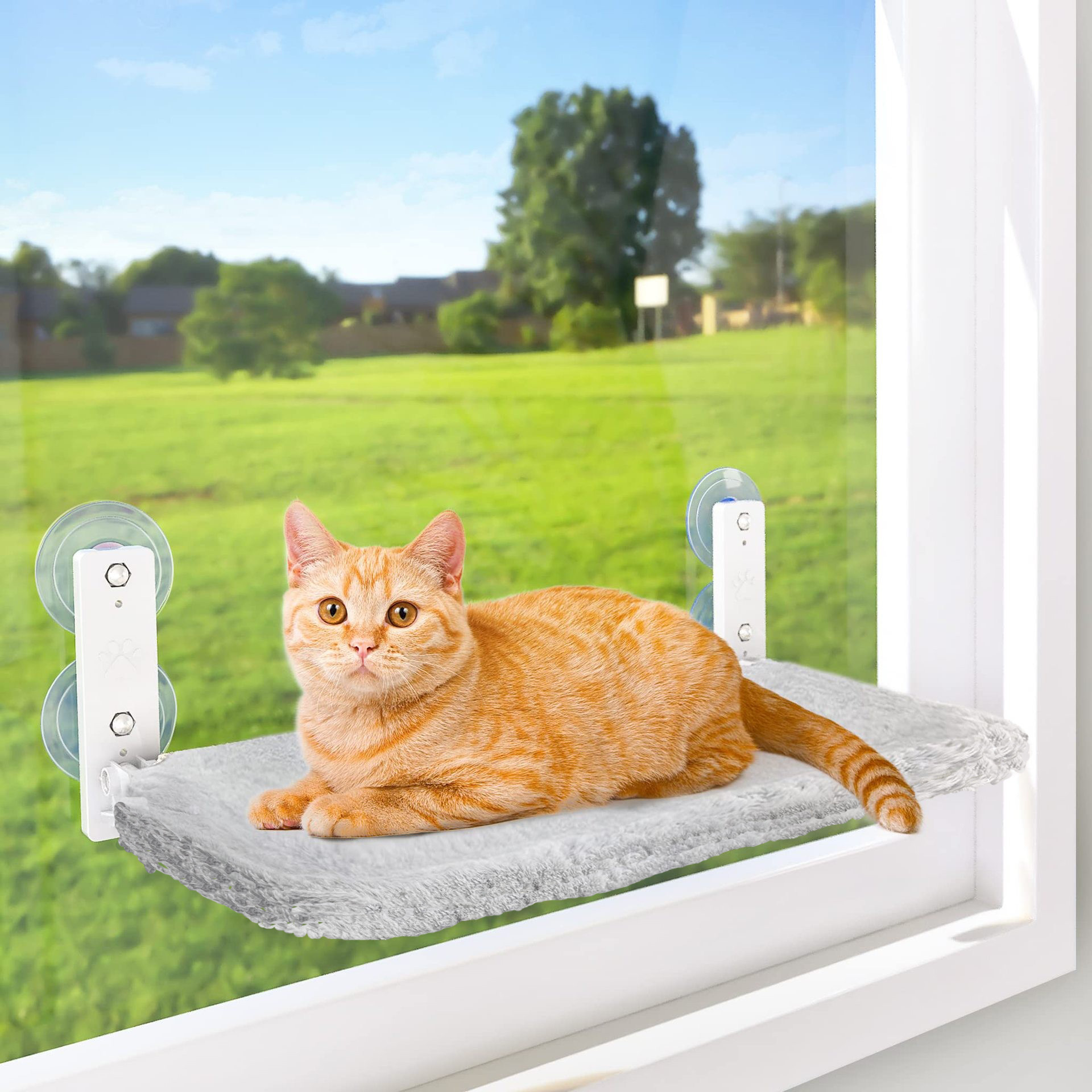 Cestas de Gatos Portátiles Sin Cables — imagen 4
