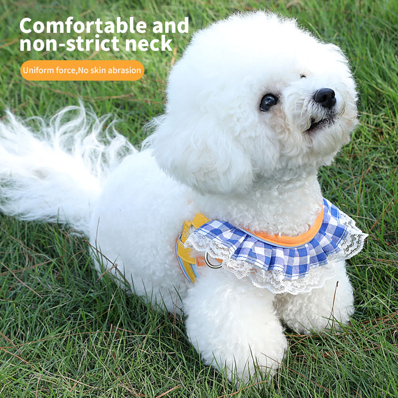 Fashion New Cat Anti-Breakaway Leash Small Dog Chest Strap Teddy Bichon Dog Chain Adjustable — image 1