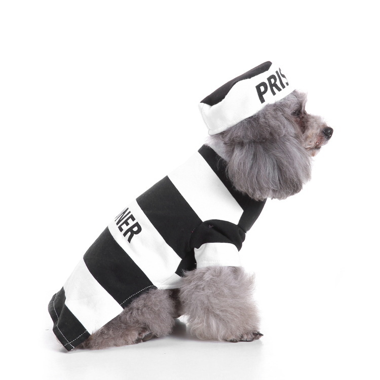Dog Halloween costume with funny costumes — image 6