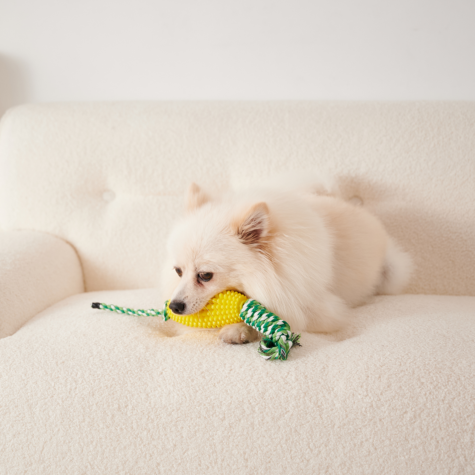 Cepillo Dental Interactivo para Perros con Juguetes de Maíz para Cerdos Agresivos — imagen 7