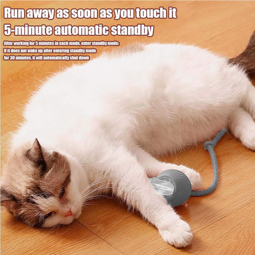 Pelota Rodante Interactiva para Gatos — imagen 2