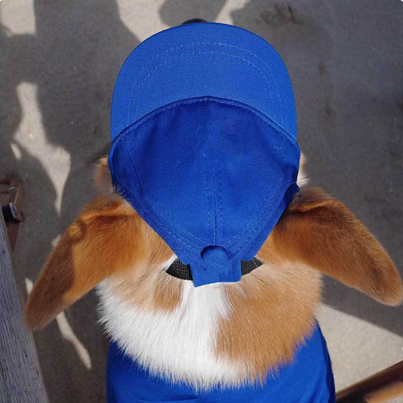 Sombrero de Fotorreportaje para Perros al Aire Libre con Agujeros en las Orejas y Ajuste para Corgi — imagen 1