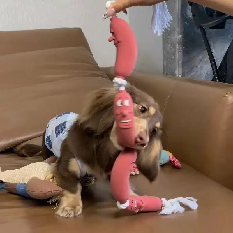 Dog Sausage Toy - Funny Knot Tug-of-War Toy, Durable Chew Toy for Physical Exhaustion, Self-Entertainment Boredom Buster Pet Toy — image 1