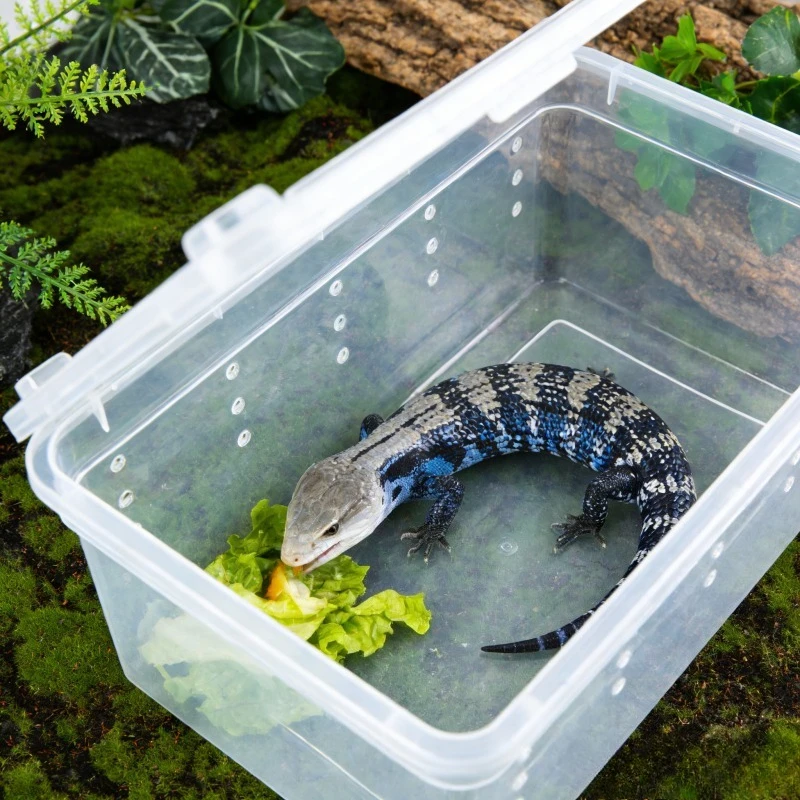 Reptile Breeding Box Terrarium Turtle Tank Silkworm Spider Horned Frog Gecko Lizard Snail Cage Portable Habitat Enclosure — image 2