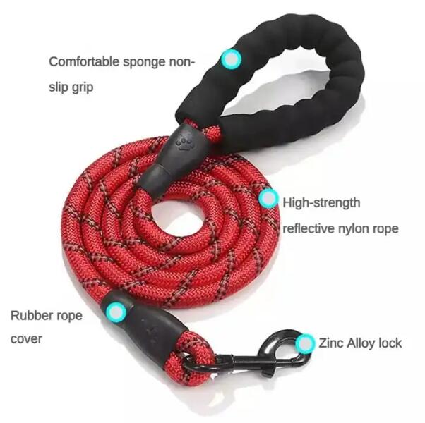 Cuerda de nylon con mango de espuma, collar de perro y cadena — imagen 1