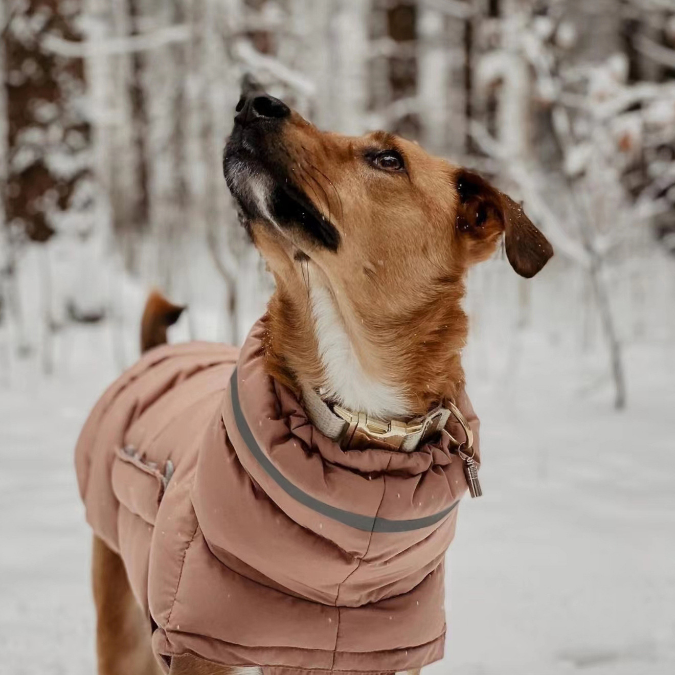 Dog clothing thickened warm waterproof windproof two leg coat pet vest cotton coat — image 2