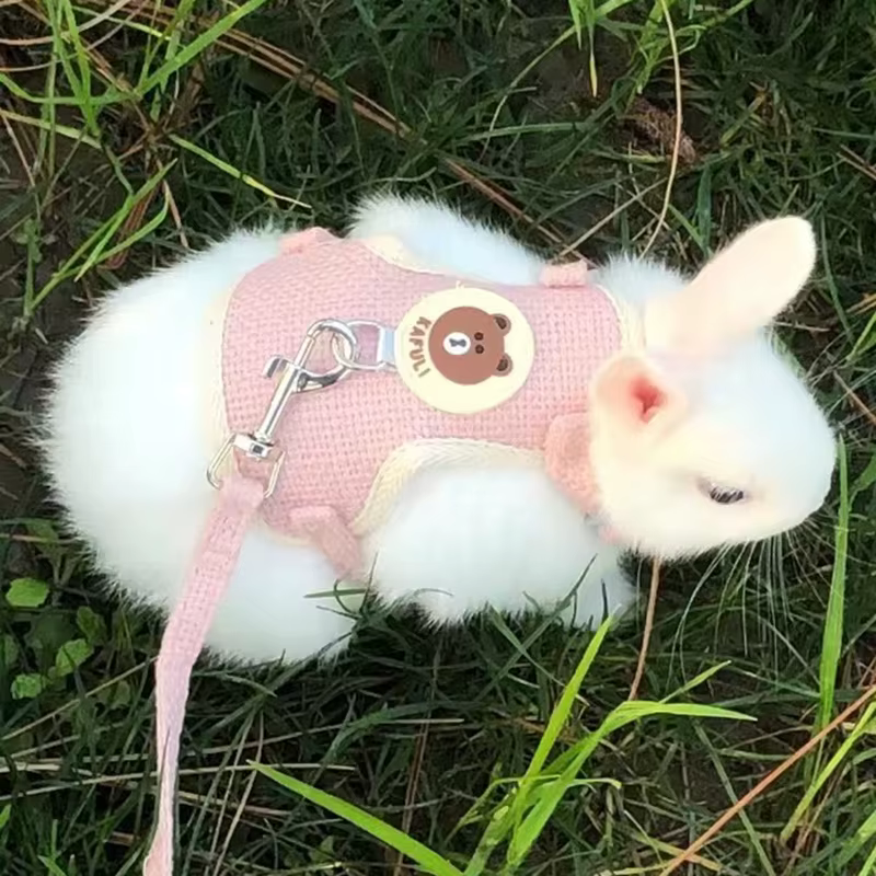 Cartoon Print Cat Rabbit Harness and Leash Set Bunny Rabbits Pet Accessories Bunnies Vest Clothes Lapin Accessoires Pour Animaux — image 1