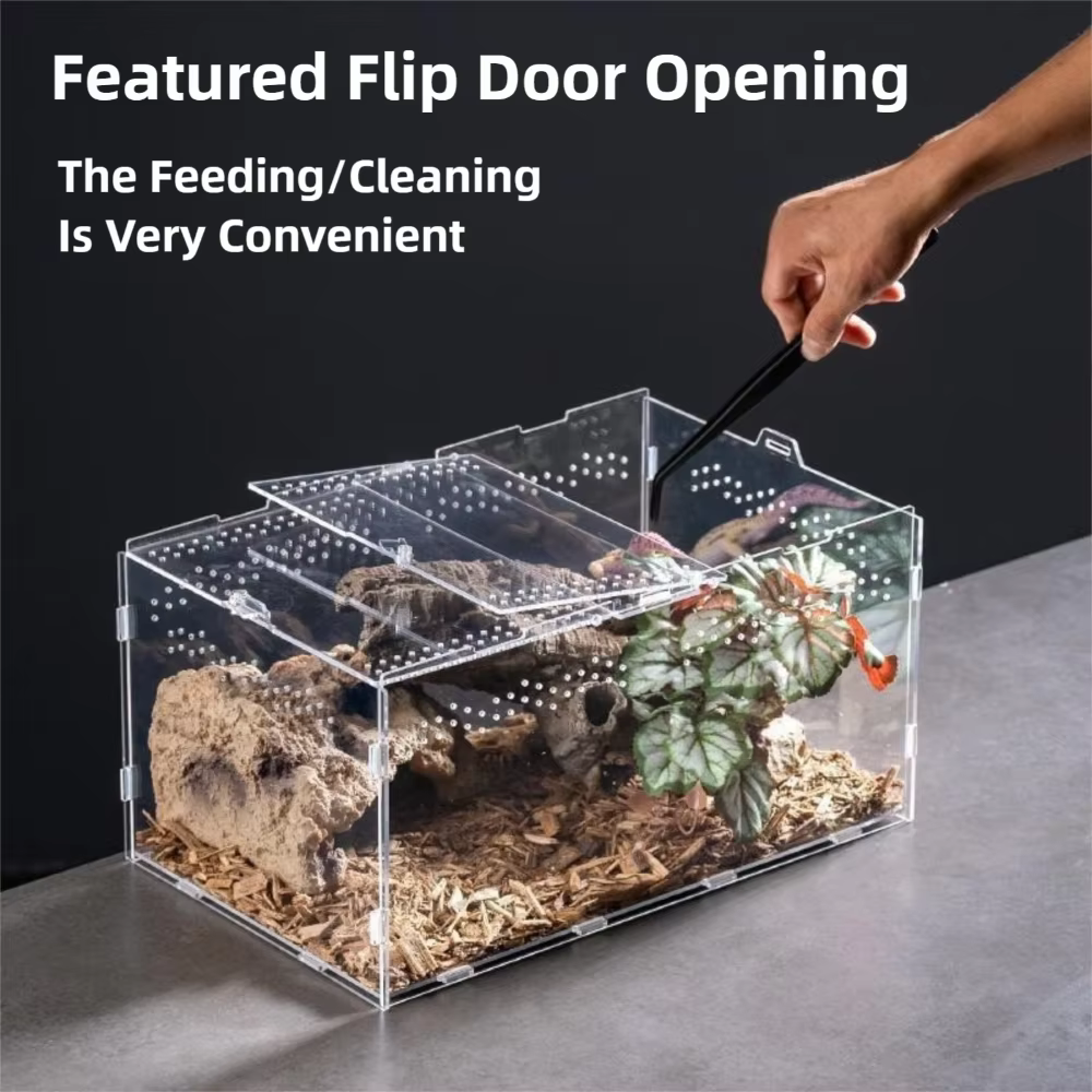 Caja de Acuario para Reptiles Anti-Evasión Claro para Arácnidos y Pequeños Animales, Diseño Moderno Transparente — imagen 2