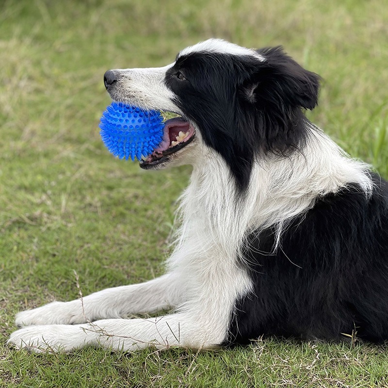 Dog Toy Medium Spike Ball Dog Toy 9CM Sound Pet Teeth Grinding Toy Medium Dog — image 6