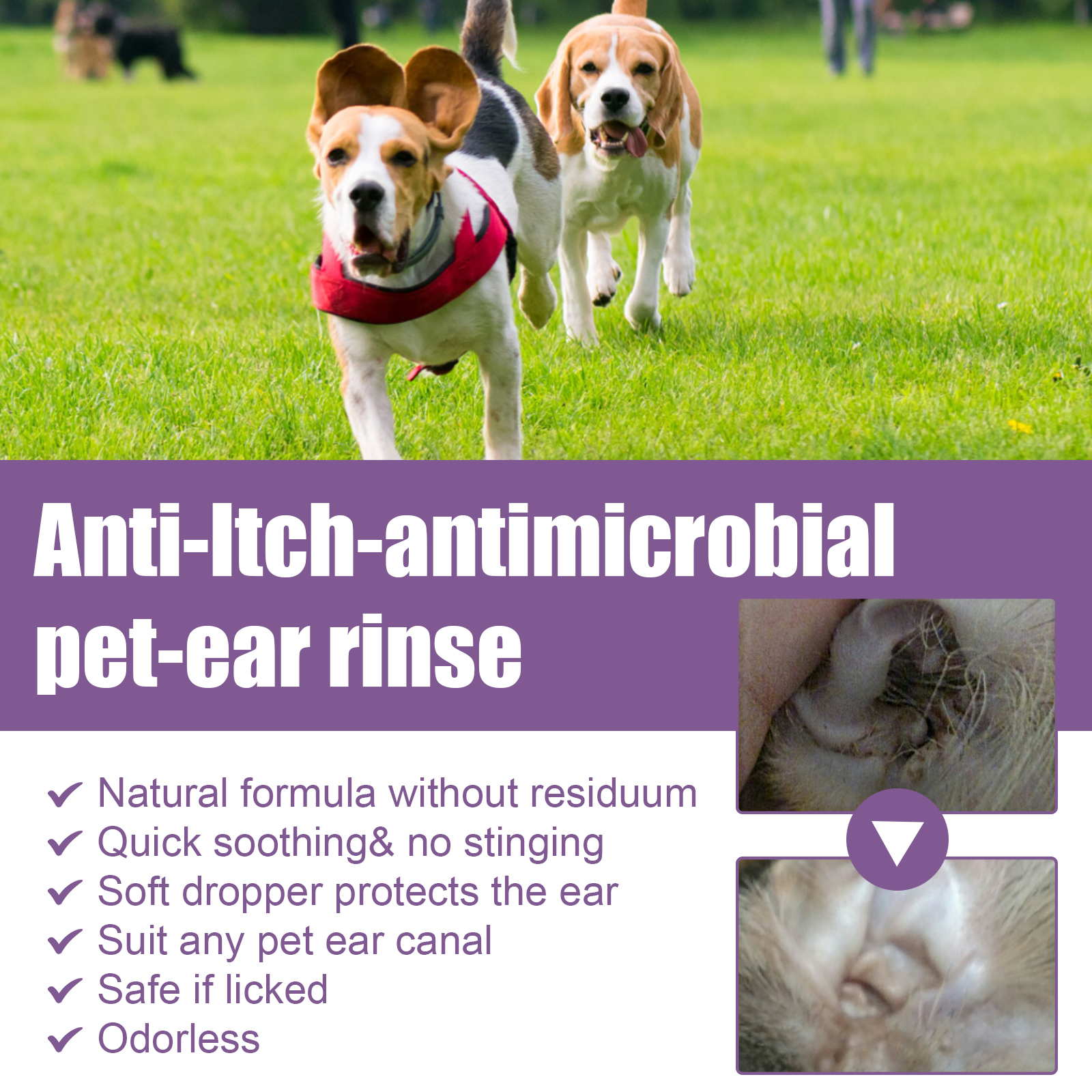 Limpieza para Orejas de Mascotas 118ml con Glicerina y EDTA Disódico, Baño Antipruriginoso Antibacteriano Sin Alcohol para Perros y Gatos — imagen 9
