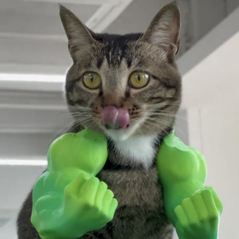 Hulk Cat Arm Pet Dog Toy Photography Prop 3D Printed Cute Funny Creative Cat Costume Backpack — image 3
