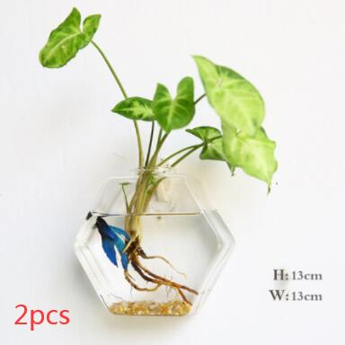 Vaso de Vidrio para Terrario Decorativo en Línea - Jardín Acuático para Hogar — imagen 31