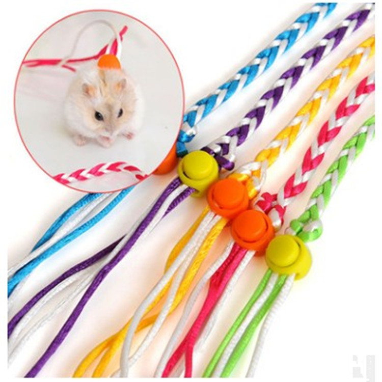 Hand-Woven Small Pet Dual-Purpose Traction Rope Pet Sliding Mouse Rope Walking Squirrel Traction Rope Hamster Supplies — image 3