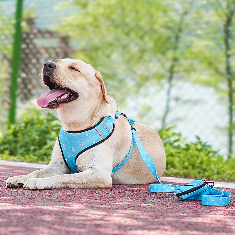 Cinturón de Pecho para Perros de Seis Piezas con Impresión Doble Lado, Materiales Suaves de Poliéster — imagen 2
