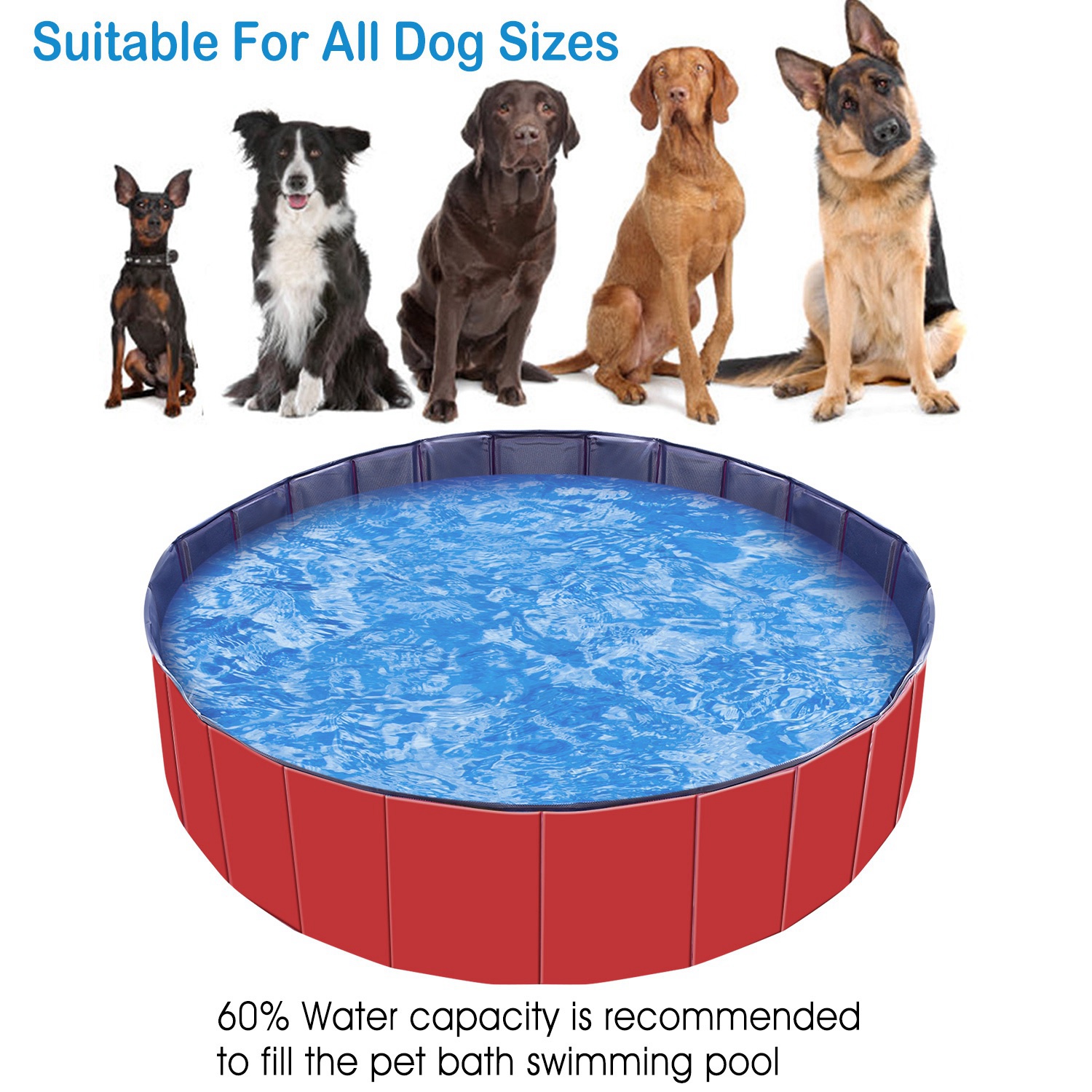 Piscina de Natación Portátil para Mascotas 160x160x30cm - 63.0x63.0x11.8 pulgadas — imagen 9
