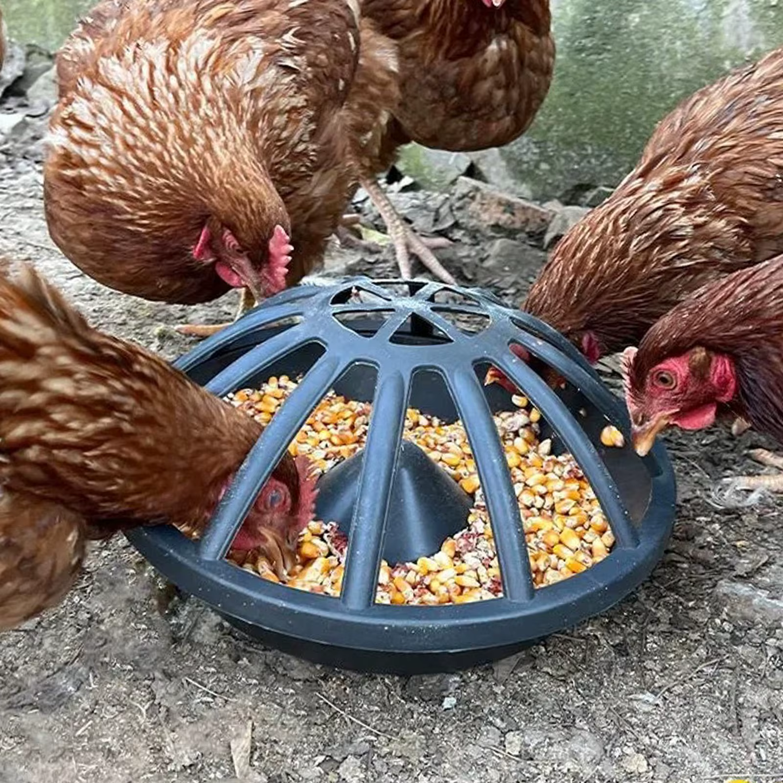 12/18/20 Holes Chicken Feeder Portable Goose Food Dispenser Poultry feed Bucket for Duck Chook Hen Livestock Feeding Supplies — image 2