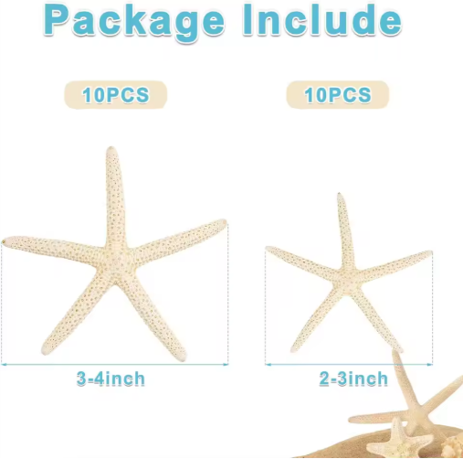 20 Piezas de Estrellas de Mar Naturales al por Mayor de 2-4 y 4-6 Pulgadas, para Manualidades, Bodas, Decoración de Playa y Adornos para Árbol de Navidad — imagen 6