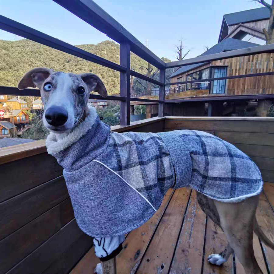 Ropa para Mascotas de Otoño e Invierno - Chaqueta de Lino Plaid Nueva para Perros y Gatos — imagen 5