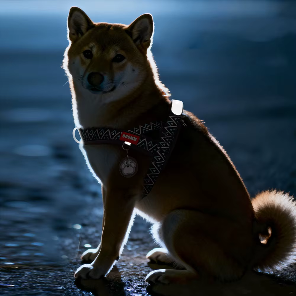 Traje de Trenza para Perros con Diseño Estampado, Suave y Ajustable sin Tirar con Manija para Todas las Razas de Mascotas — imagen 6