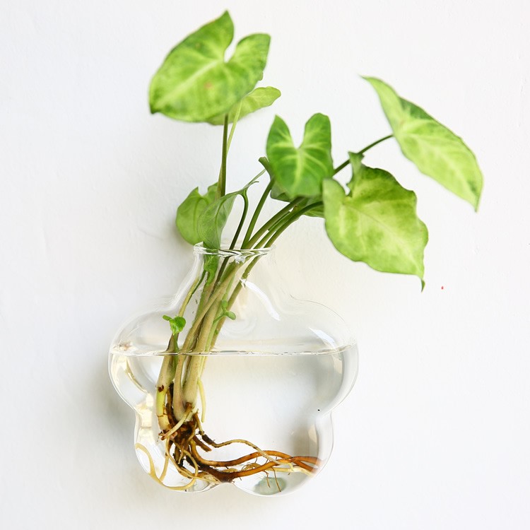 Vaso de Vidrio para Terrario Decorativo en Línea - Jardín Acuático para Hogar — imagen 2