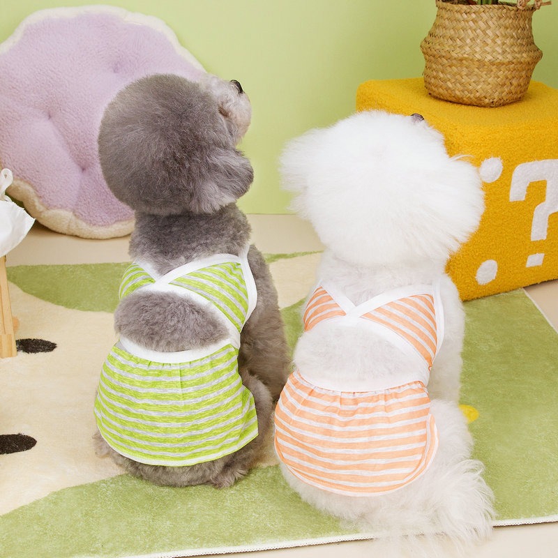 Conjunto de baño para mascotas - Vestimenta de playa para perros y animales — imagen 7