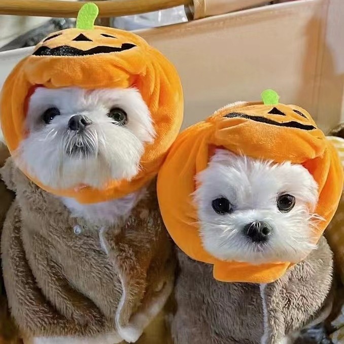 Pet Cat Dog Pumpkin Cat Hat Halloween Ghost Festival Decoration Headwear Supplies — image 7