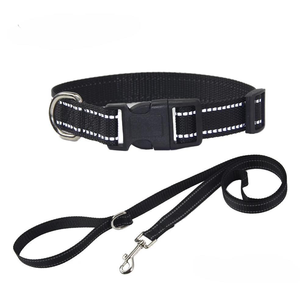 Conjunto de Cuello y Correa para Perros en Nylon - Accesorios para Mascotas Pequeñas, Medianas y Grandes — imagen 15