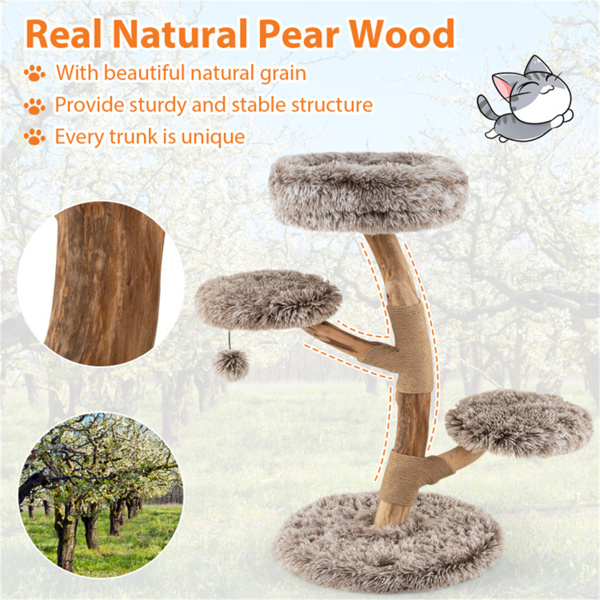 Árbol de Gato Multinivel en Madera de Perejil Natural, Postes de Rasguñado de Sisal, Pelotas Plumas y Tela Larga — imagen 7