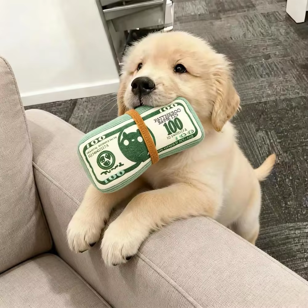 Juguetes de Dinero para Perros Forma de Billetes Resistente a Mordiscos Indestructibles Sonido Interactivo Autoentretenimiento para Cachorros Gatos y Mascotas Entrenamiento — imagen 1