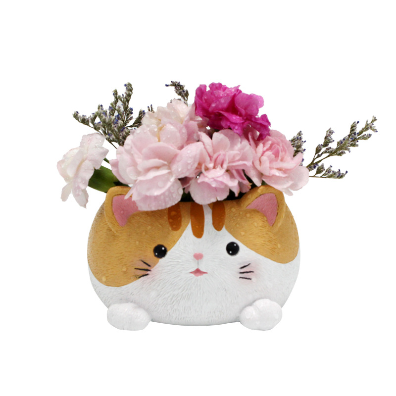 Planta de suculenta para gatos decoración de balcón maceta floral — imagen 2