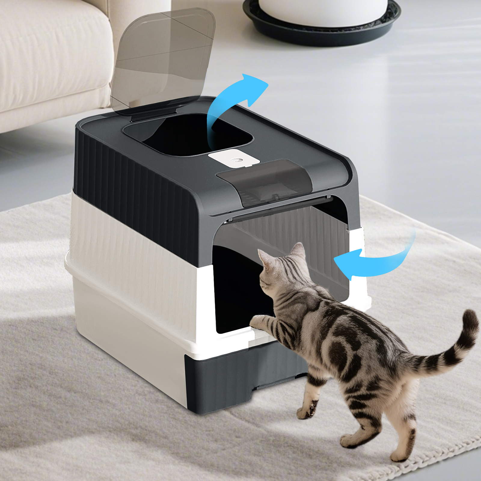 Solo Recogida en Tienda - Cubo Mágico para Gatos de Lecho de Arena — imagen 28