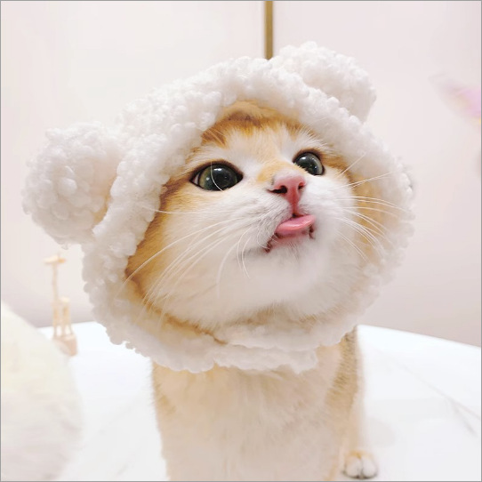 Sombrero para mascotas con orejas expuestas anti-pérdida de pelo ajustable sombrero pequeño para perros — imagen 17
