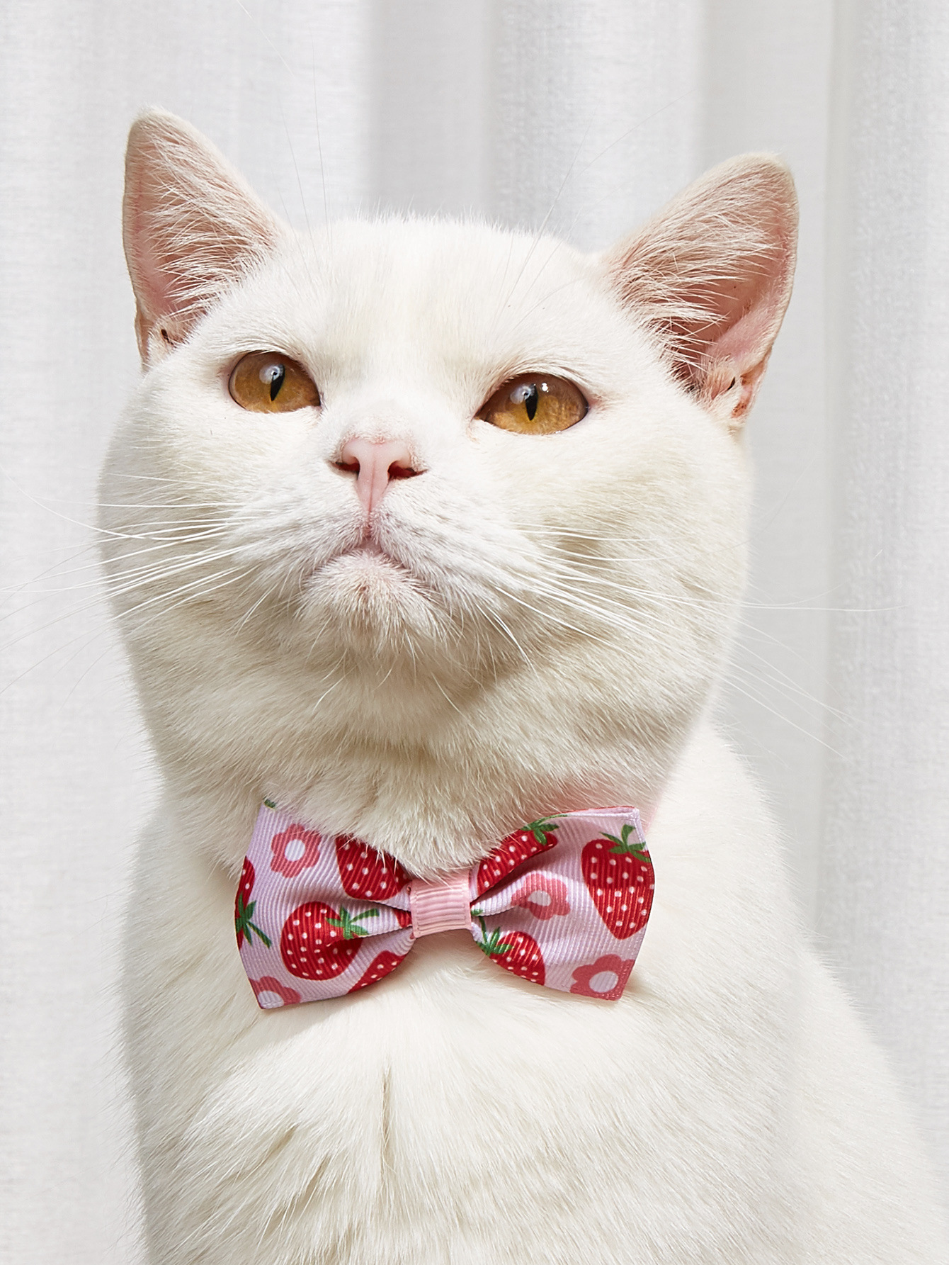 Colorful Bow Tie Pet Head Wear Puppy Bow Tie Pet Tie Cat And Dog Bow Tie Pet Bow Tie — image 1