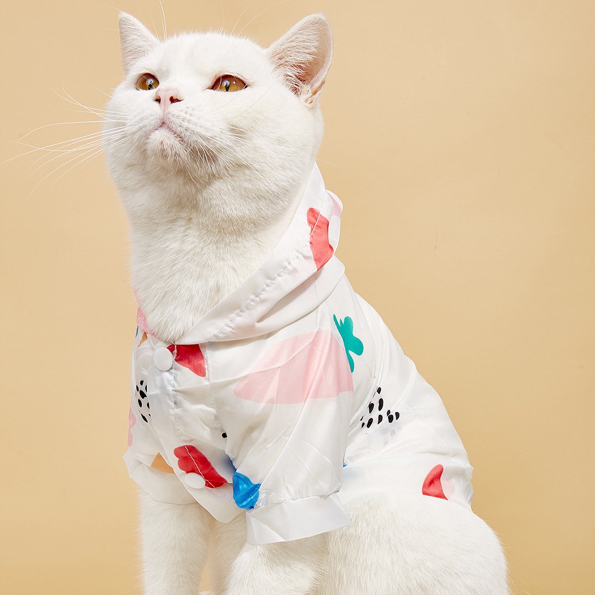 Summer New Pet Cat Supplies Shirt Dog Sun Protection Clothing With Hood Thin Section Breathable Fruit Printing Sun Protection Clothing — image 1