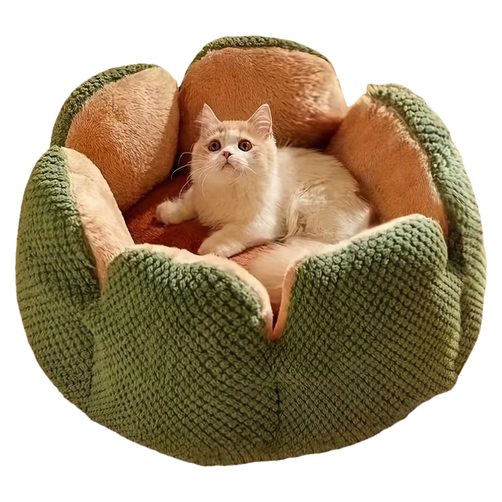 Petal Shaped Pet Bed, Plush Round Dog & Cat Cushion Mat with Knitted Texture, Ultra Soft Warm Nest for Kittens Puppies in Winter — image 1