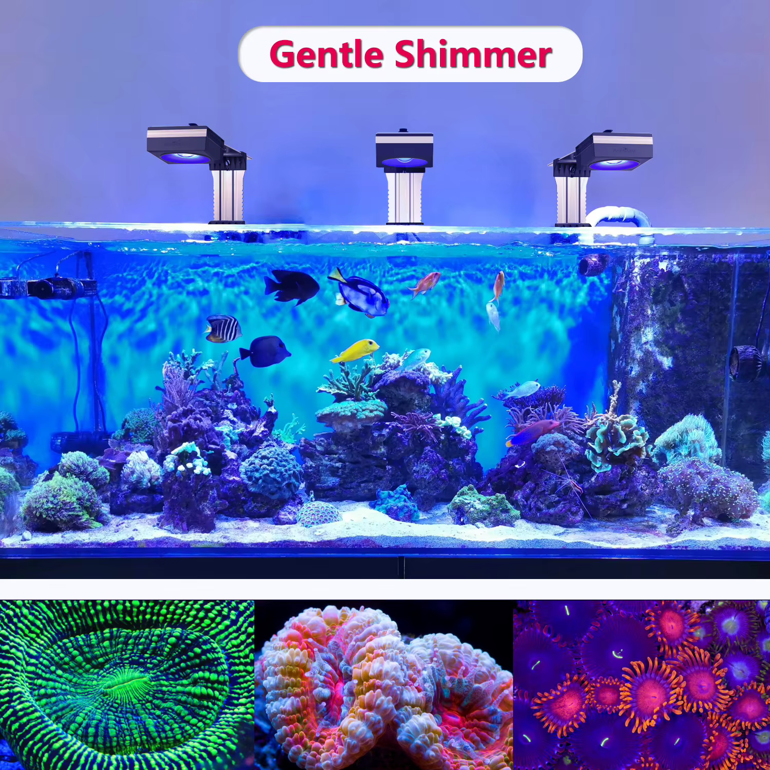 PopBloom 3xRL90 Saltwater Aquarium Light Marine LED Fish Tank Light for 60inch~72inch 150cm~180cm Coral Reef Tanks — image 5