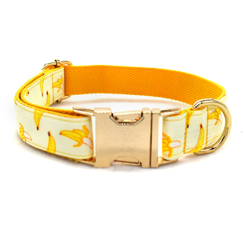 Collar de Trazo Amarillo para Perros con Cuerda de 1.5m y Broche de Oro Personalizable — imagen 10