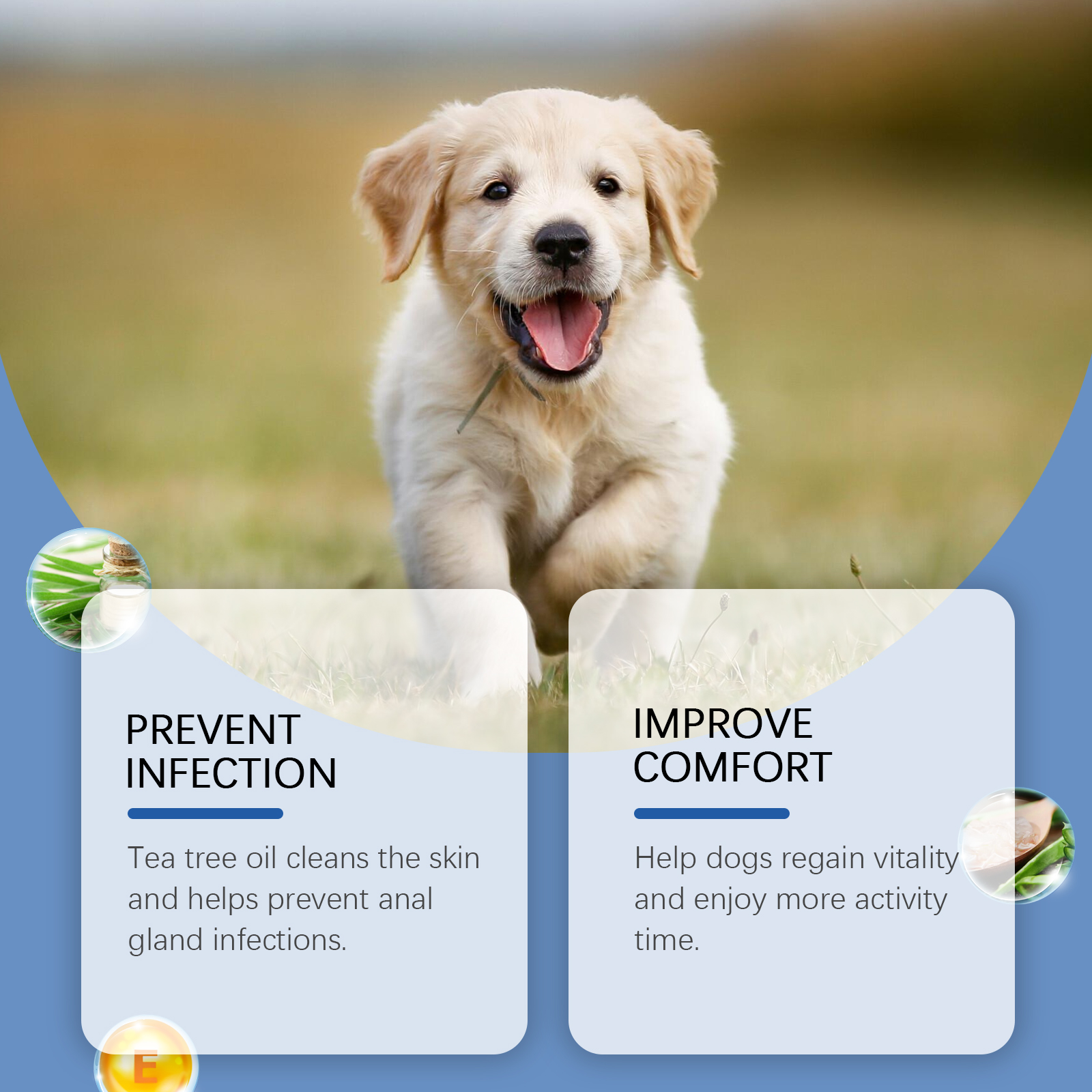 Dog Anal Gland Odor Removal Spray, Mild Ingredients Fresh Clean Odor Removal After Potting Care — image 6
