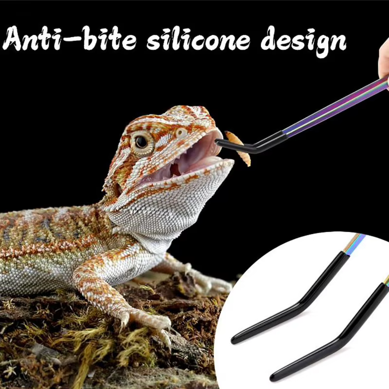 Reptile Feeding Tongs Rust Resistant Lizard Feeding Tweezers Bearded Dragon Feeder Stainless Terrarium Feeding Tool For — image 5