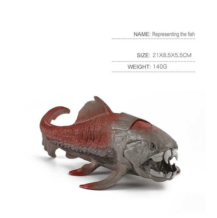 Figuras de Animales Marinos Antiguos para Decoración - Peces, Calamares y Ammonites — imagen 2