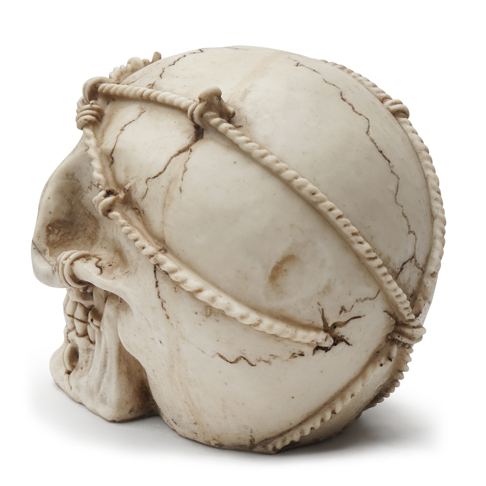 Resin Craft Skeleton Animal Skull — image 3