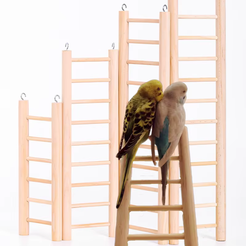 Juego de Escaleras para Loros Básico 13 Pasos - Juguetes para Aves con Lámpara de Madera — imagen 1